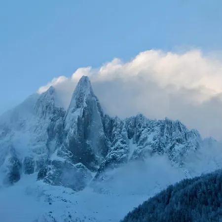 Magnificent With View On The Mont Blanc Chalet