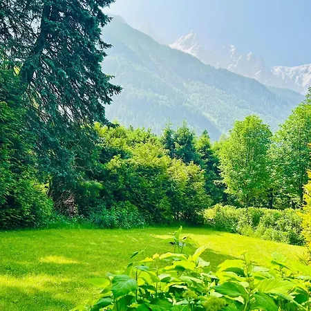 Mont Blanc View Garden 8p *