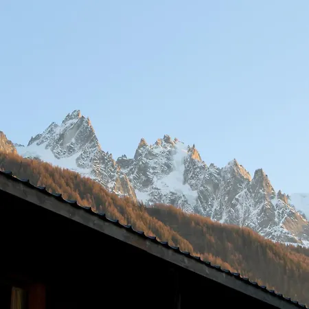 Mont Blanc View Garden 8p 霞慕尼