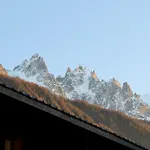 Experience Mont Blanc With Your Family شامونكس