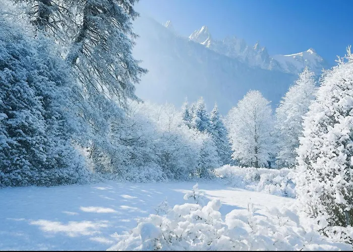 Σαλέ Experience Mont Blanc With Your Family